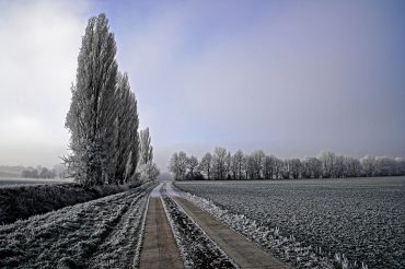 Börde-Winter (Der Februar)