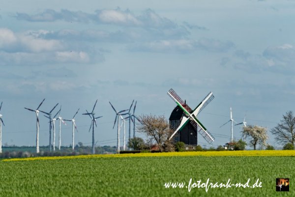 Ein Blick auf die Bockwindmühle bei Eimersleben. Im Hintergrund Windräder