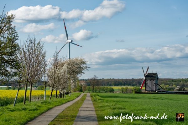 Ein Blick auf die Bockwindmühle bei Eimersleben. Im Hintergrund Windräder
