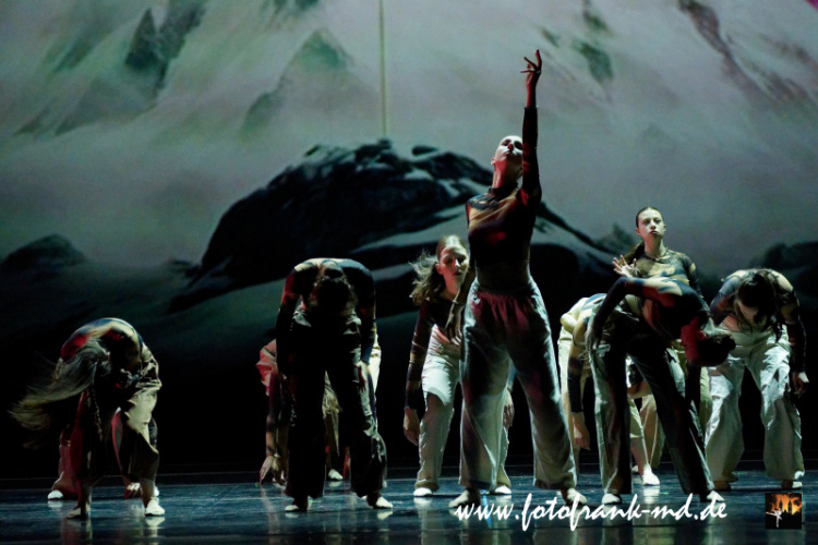 FuS2024-2050-V3-8099