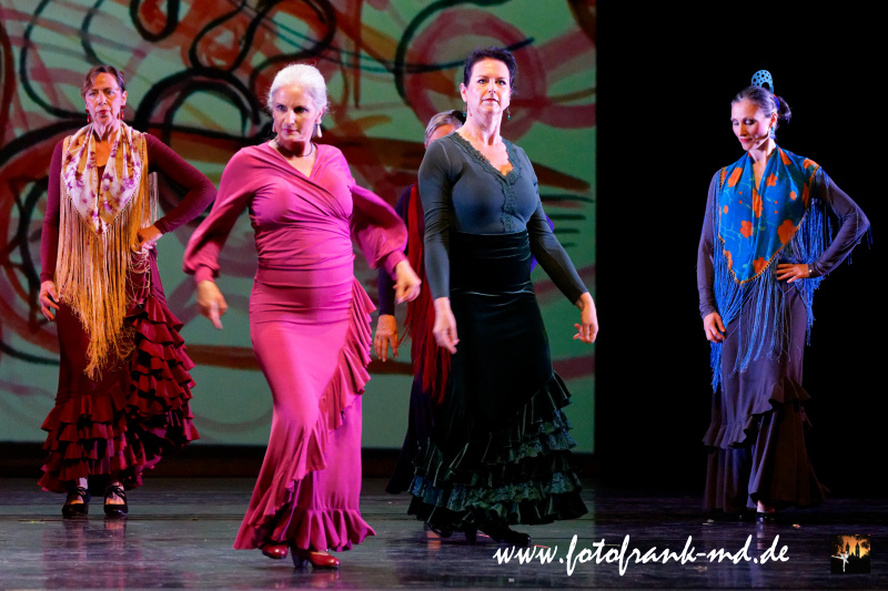 FuS2024-2060-V1-2236