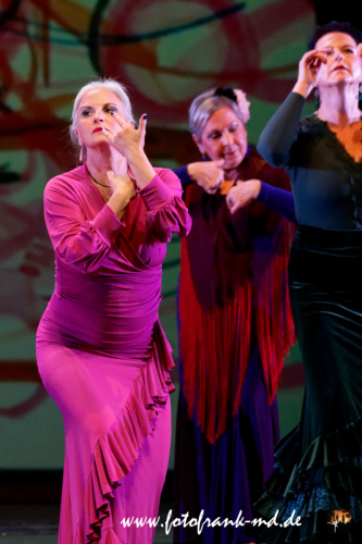 FuS2024-2060-V1-2286