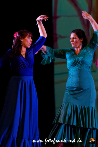 FuS2024-2060-V1-2295