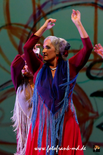 FuS2024-2060-V1-2320