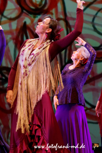 FuS2024-2060-V1-2331