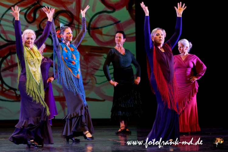 FuS2024-2060-V2-5891