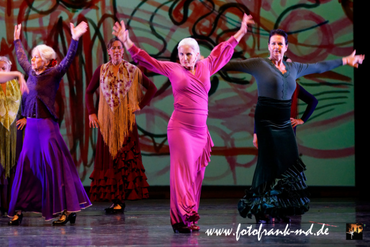 FuS2024-2060-V2-5906