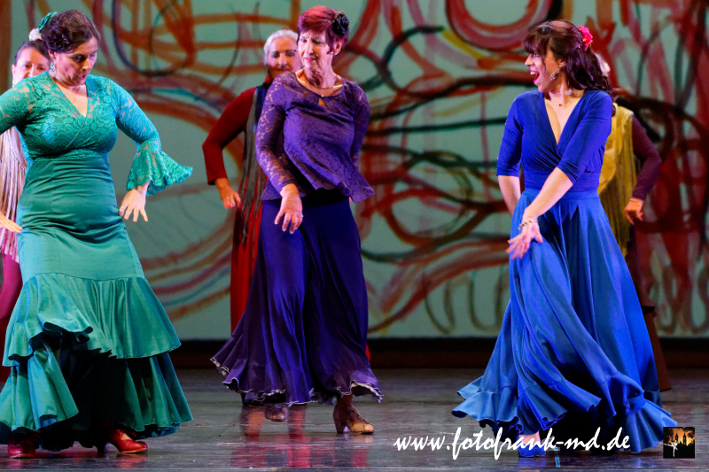 FuS2024-2060-V2-5932