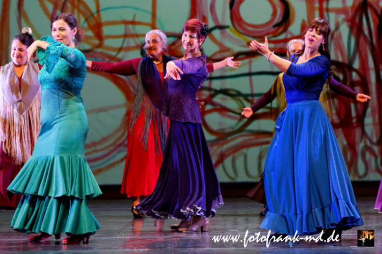 FuS2024-2060-V2-5941