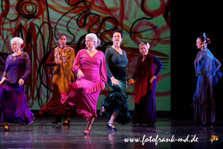 FuS2024-2060-V2-5959