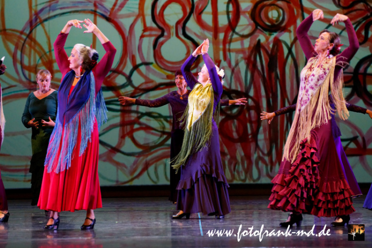 FuS2024-2060-V2-5981