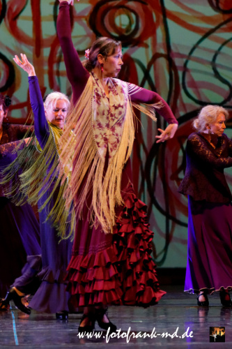 FuS2024-2060-V2-5990