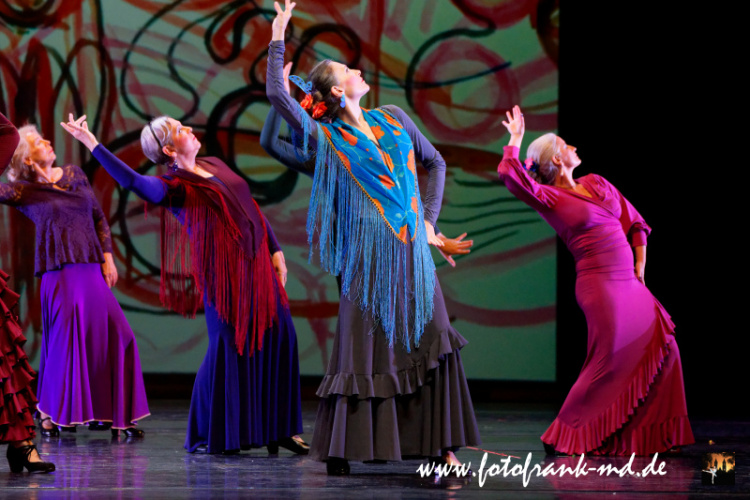 FuS2024-2060-V2-6003