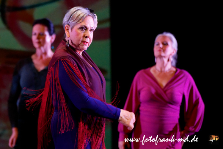 FuS2024-2060-V3-8164