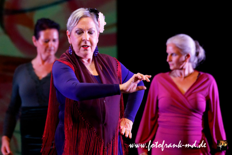 FuS2024-2060-V3-8165