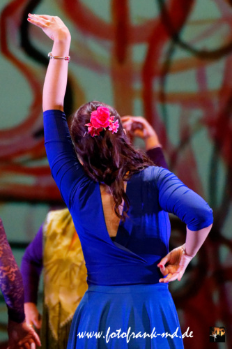 FuS2024-2060-V3-8224