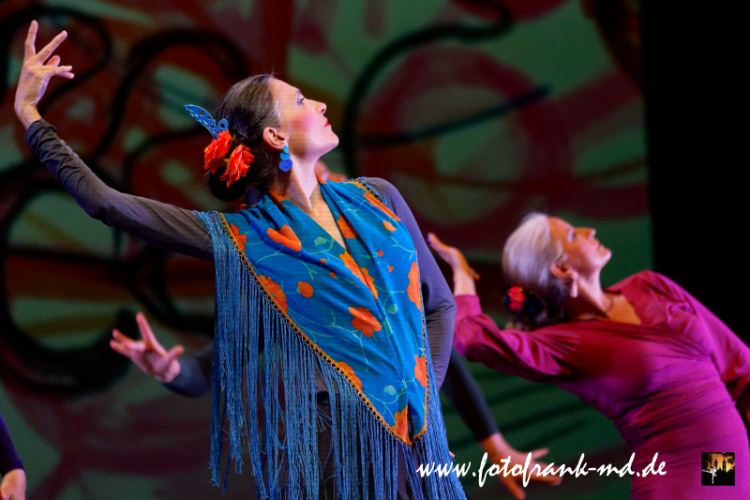 FuS2024-2060-V3-8248