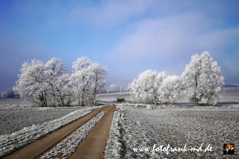 Seite-06-20230208-Bei-Niederndodeleben-A7R09858-DXO