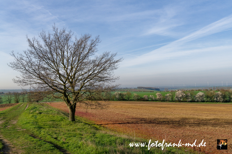 Auf dem Großen Wartberg