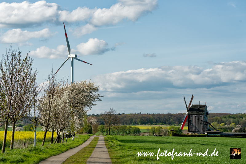 Ein Blick auf die Bockwindmühle bei Eimersleben. Im Hintergrund Windräder