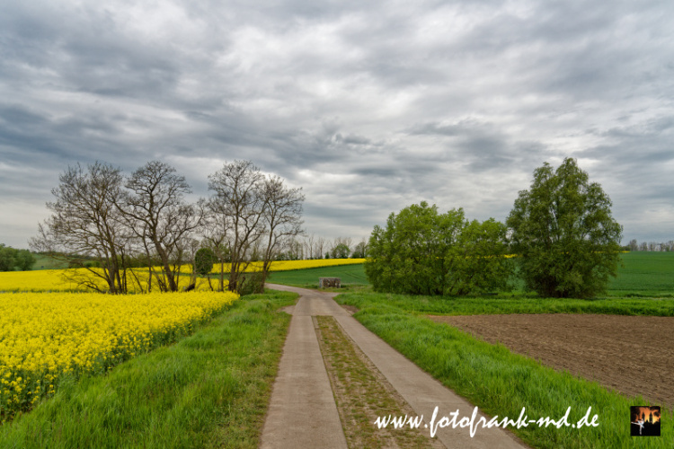 Seite-23-20230510-Bei-Niederndodeleben-A7R01315