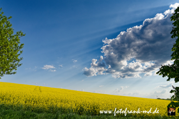 Seite-28-20230512-Bei-Niederndodeleben-A7R01478