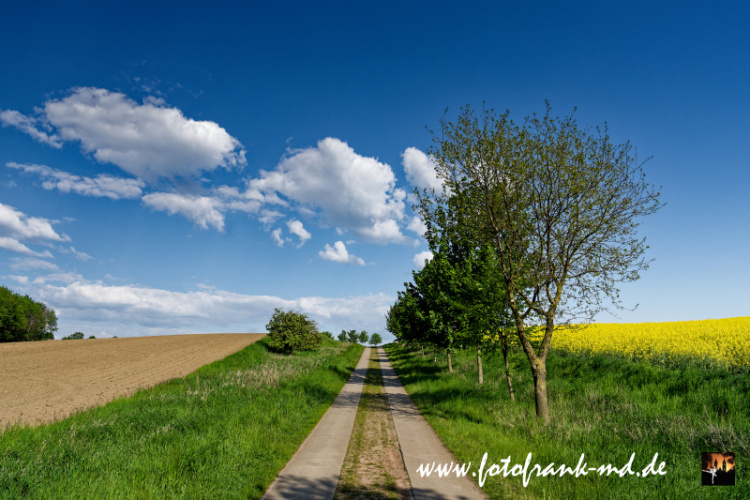 Seite-29-20230512-Bei-Niederndodeleben-A7R01480