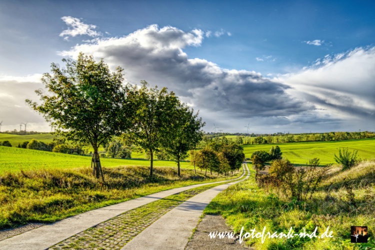 Seite-80-20231014-Bei-Niederndodeleben-A7300415-HDR