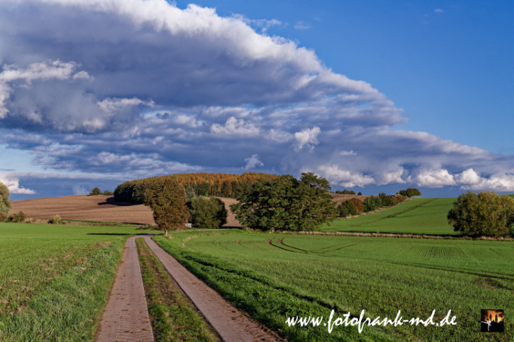 Seite-84-20231017-Bei-Niederndodeleben-A7300522